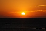 DSC10102900526-2.jpg