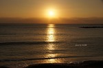 DSC10111500872-2.jpg