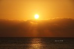 DSC10111500878-2.jpg