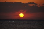 DSC10111500883-2.jpg