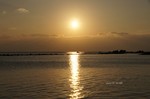 DSC10111700942-2.jpg