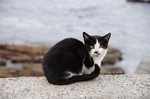 DSC10111900994-2.jpg