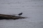 DSC10111900995-2.jpg