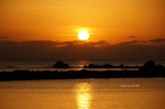 DSC10112401147-2.jpg