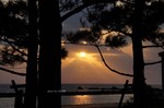 DSC10112701236-2.jpg