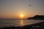 DSC11033004414-2.jpg
