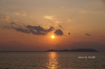 DSC12020401365-2.jpg