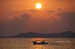 DSC12020401373-2.jpg