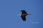 DSC12021801558-2.jpg
