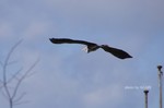 DSC12021801561-2.jpg