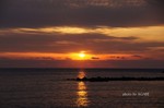 DSC12022001578-2.jpg