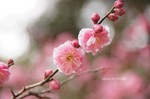 DSC12022101598-2.jpg