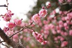 DSC12022101599-2.jpg