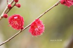 DSC12022101604-2.jpg