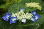 DSC13052808680-2.jpg