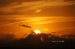 DSC13090400773-2.jpg