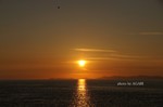 DSC13090900811-2.jpg