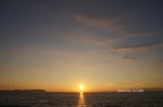 DSC13091000827-2.jpg