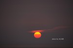 DSC13091300874-2.jpg