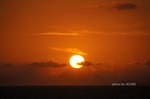 DSC14092503366-2.jpg