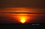 DSC14102803642-2.jpg