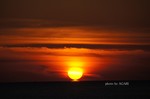 DSC14102803643-2.jpg
