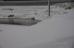 DSC16012405514-2.jpg
