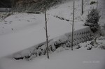 DSC16012405515-2.jpg