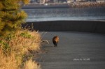 DSC17022806895-2.jpg
