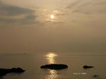 IMG_0908017259-2.jpg