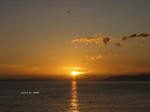 IMG_0908067352-2.jpg