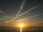 IMG_0908077375-2.jpg