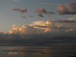 IMG_0908077388-2.jpg