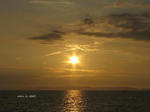 IMG_0908167598-2.jpg