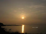 IMG_0908317908-2.jpg