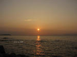 IMG_0909017934-2.jpg