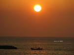 IMG_0909058070-2.jpg