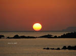 IMG_0909098190-2.jpg
