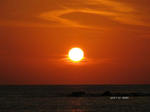 IMG_0909138310-2.jpg