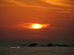 IMG_0909138317-2.jpg