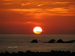IMG_0909268704-2.jpg