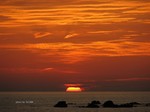 IMG_0909268711-2.jpg