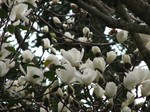 IMG_1002272538-2.jpg