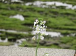 IMG_1003022593-2.jpg
