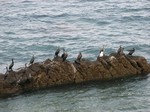 IMG_1003042605-2.jpg