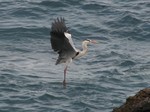 IMG_1003042607-2.jpg