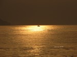 IMG_1003132760-2.jpg