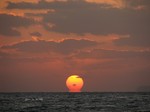 IMG_1003162852-2.jpg