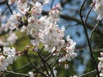 IMG_1003222984-2.jpg