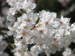 IMG_1003222987-2.jpg
